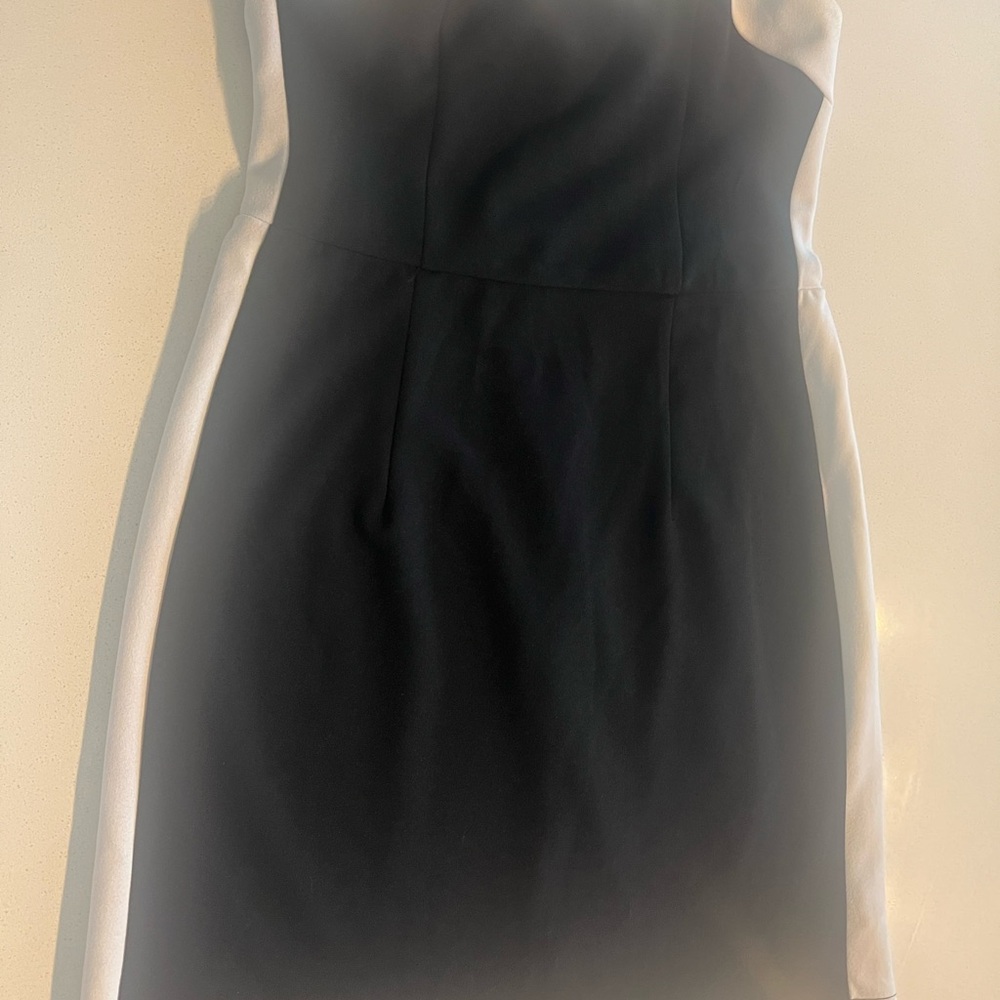 Elegant Strapless Black and White Dress